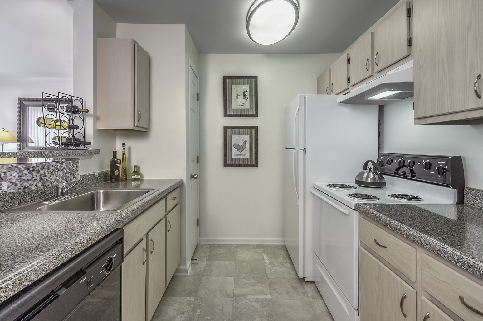 Apartment Kitchen